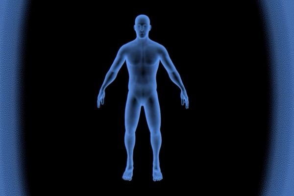 human updated article